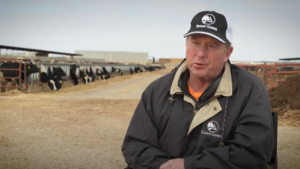 Art Schaap sits down for an interview, in front of cows.