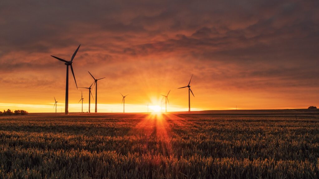 View of grassy plains at sunset, with wind turbines in the distance.