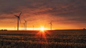 View of grassy plains at sunset, with wind turbines in the distance.