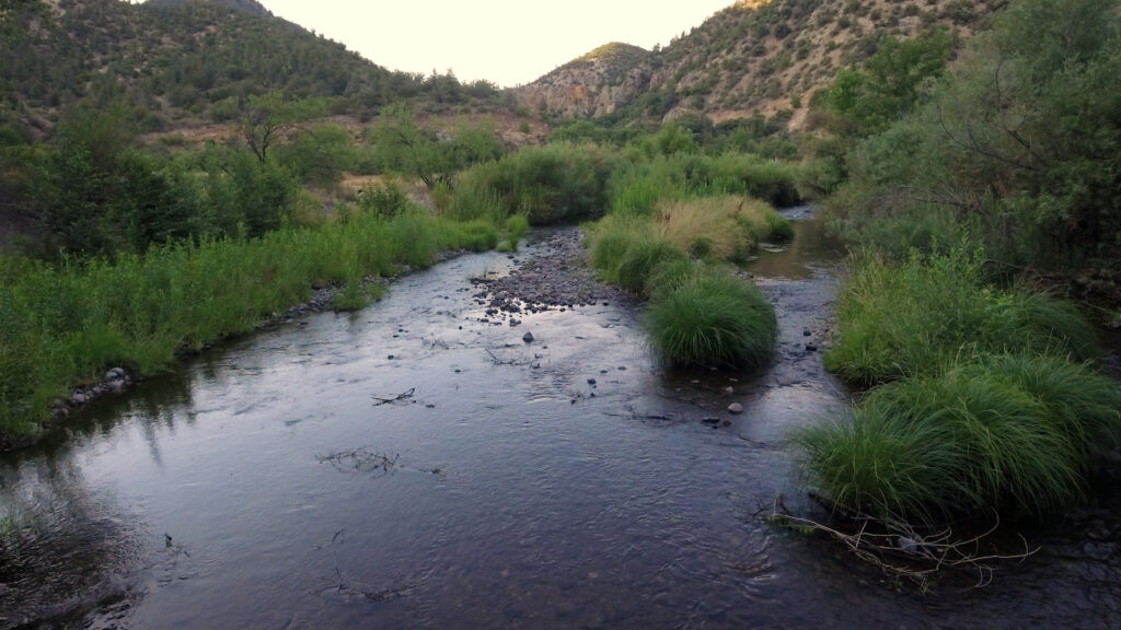 A shallow body of water ends at a rocky, sandy area complimented with green bushes.