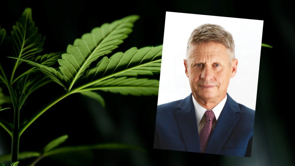 Composite of cannabis leaf, along with portrait of Gary Johnson.