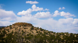 A rocky hill covered in bushes and trees.