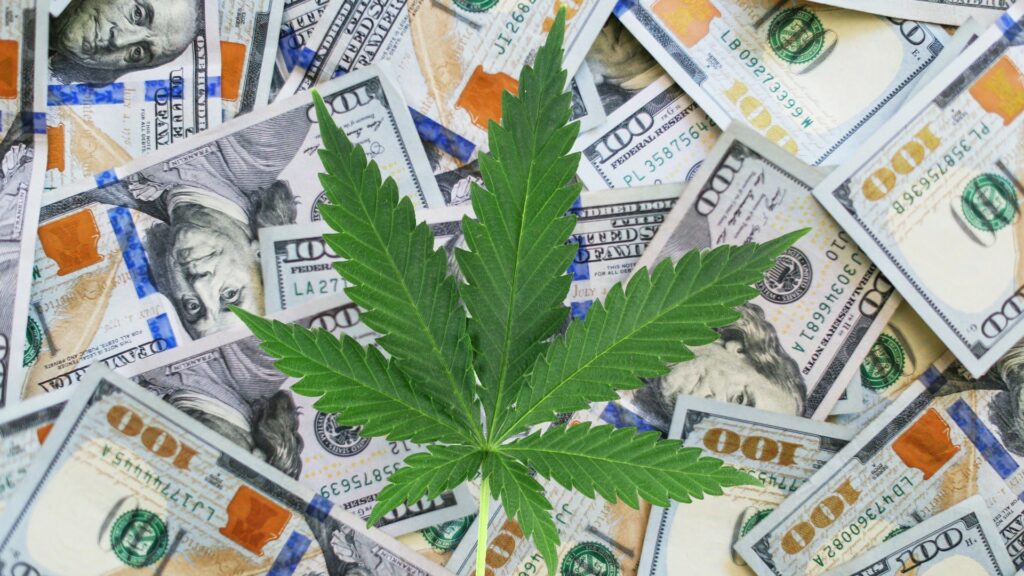 Composite of a cannabis leaf in front of a scatter of $100 dollar bills.