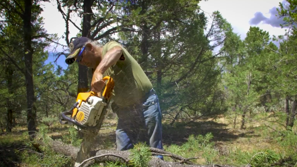 A person chainsaws a tree body in the middle of a forest.