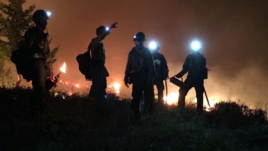 A group of firefighters with headlamps coordinate with each other next to a forest fire.