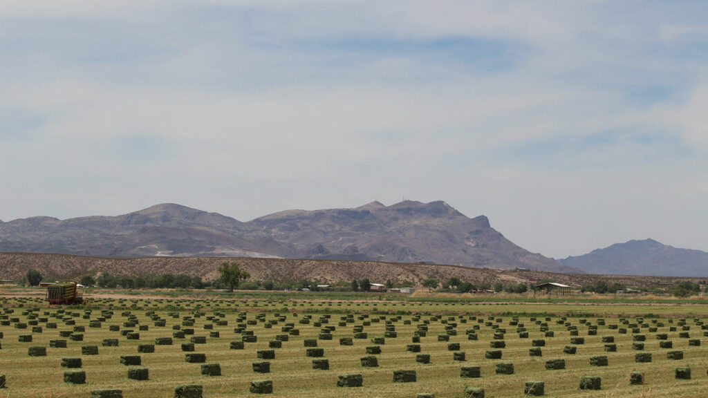 A farm with bales of rolled green hay