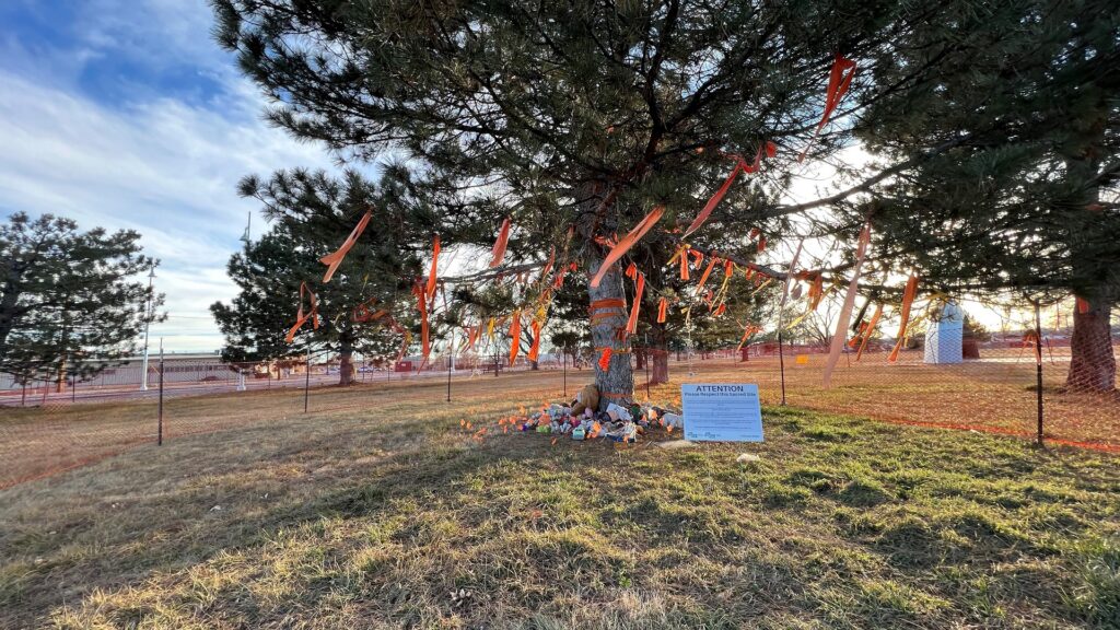 A gated off tree with orange pieces of fabric in the branches. This is a sacred site where unmarked graves of Indigenous youth were discovered.