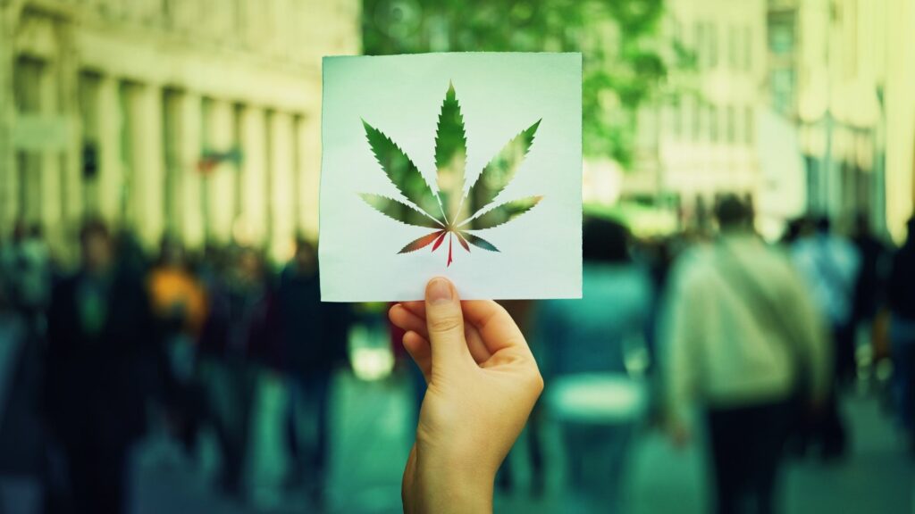 A person holding a piece of paper with a Marijuana Leaf shape punched out of it.