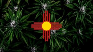 Cannabis plants with a red and yellow zia symbol superimposed.
