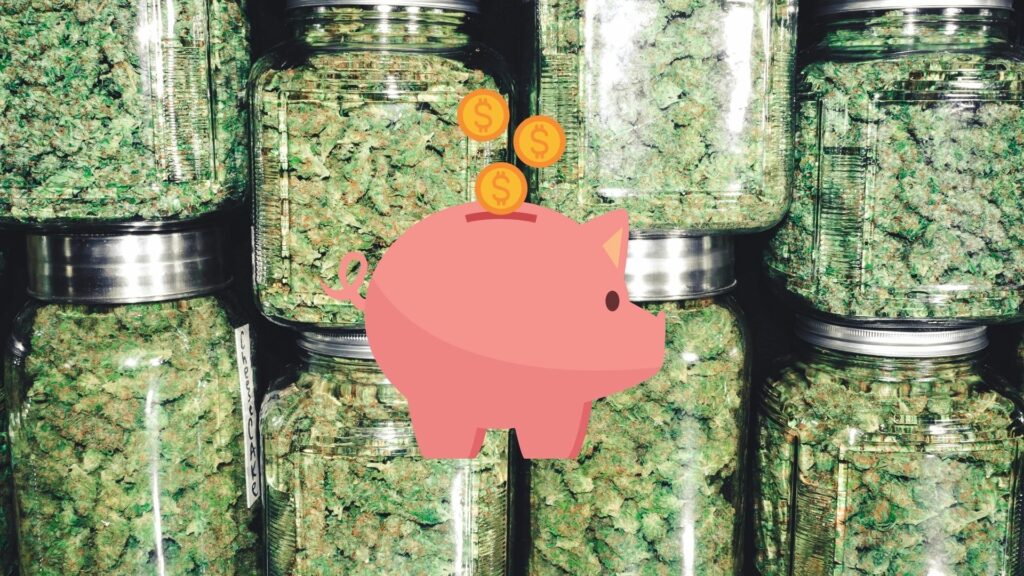 Jars of Cannabis with a cartoon piggy bank graphic.