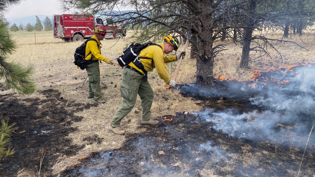 Firefighters working on a fire that is burning dried grass approaching trees.