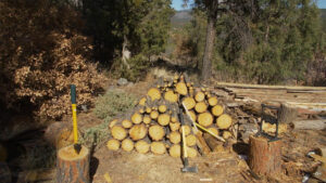 A pile of cut down trees pieces.