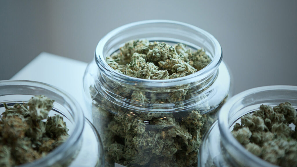 Marijuana in glass jars.