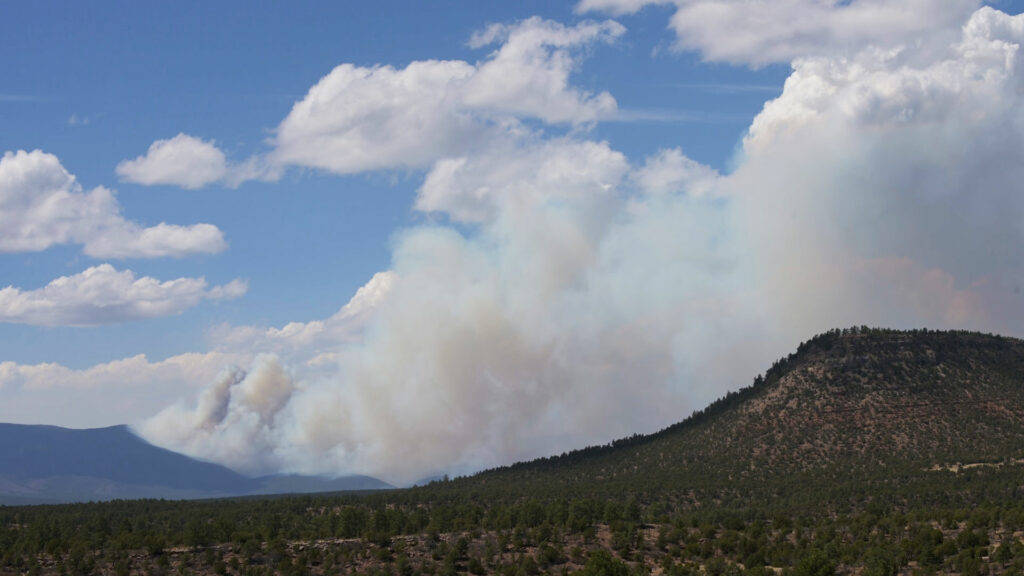 New Mexico wildfires.