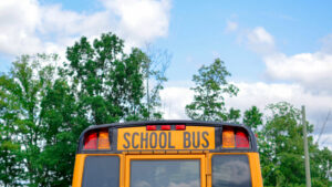 The back of a school bus with trees and blue sky behind it.