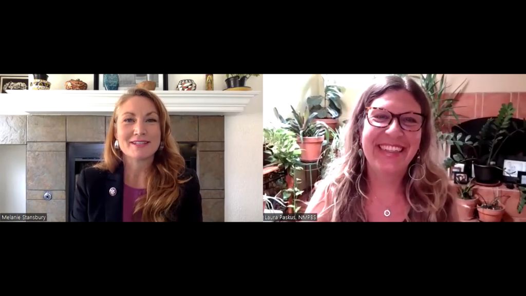 Rep. Melanie Stansbury and Laura Paskus talk on a zoom meeting.