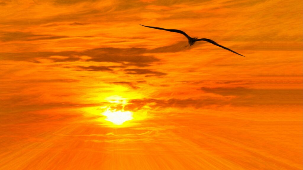 An orange sunset with a bird silhouette flying through the sky.