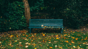 An empty park bench in the fall surrounded by fallen leaves.