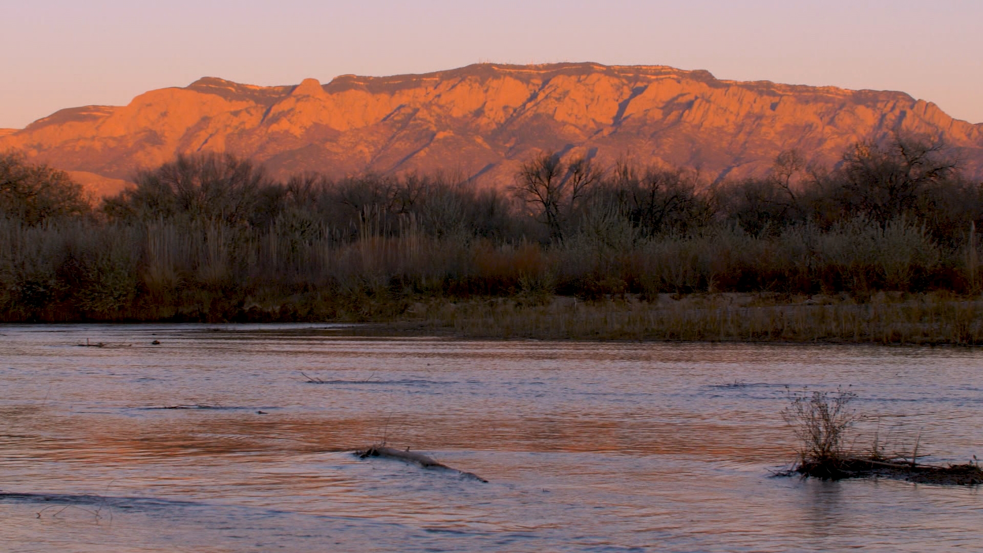 Celebrating Albuquerque’s Bosque