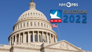 An election 2022 graphic with the capitol building.