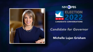 Candidate for Governor: Michelle Lujan Grisham.