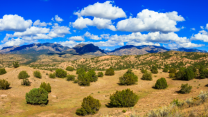 A mountain range with trees and clouds in the background.