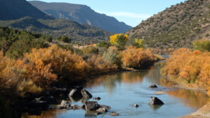 A river surrounded by mountains and trees.