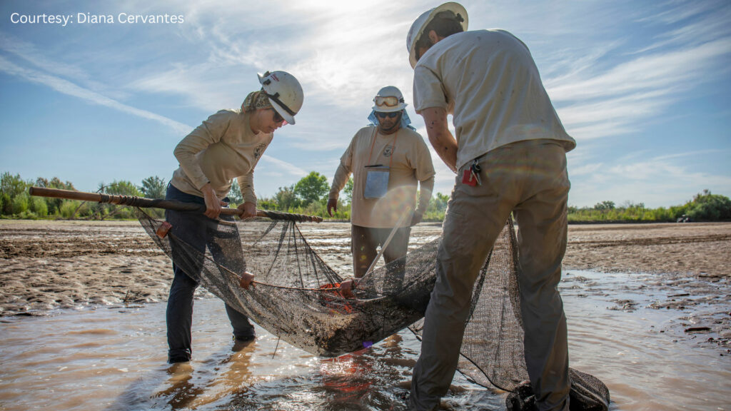 A group of people working on a net in a muddy area.