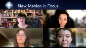 New mexico in focus.