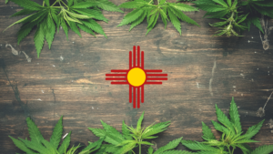 The new mexico state flag is surrounded by marijuana leaves.