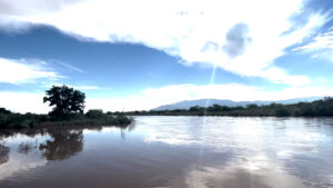 A flooded river with trees and mountains in the background.