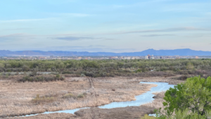 A view of a river with mountains in the background.