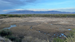 A view of a marshy area with mountains in the background.