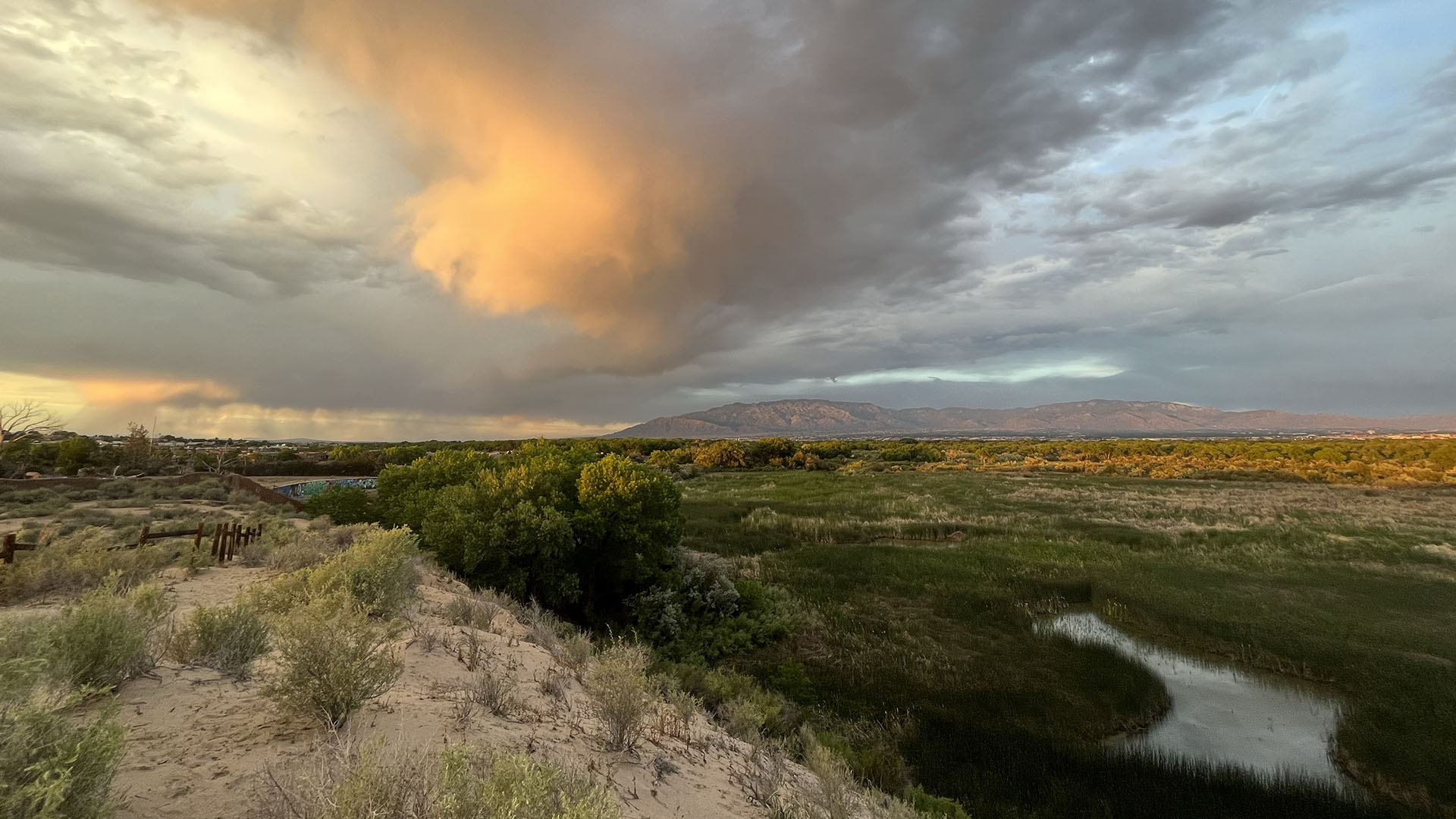 new-mexico-landscape