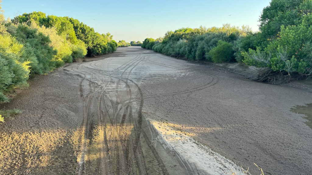 An aerial view of a muddy river with trees in the background, showcasing abundant water.