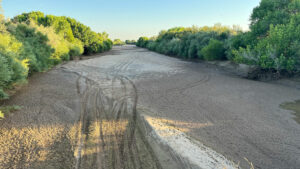 An aerial view of a muddy river with trees in the background, showcasing abundant water.