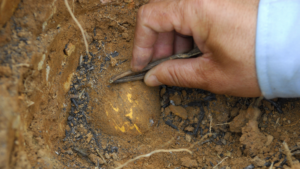 A person is digging a hole in the ground.