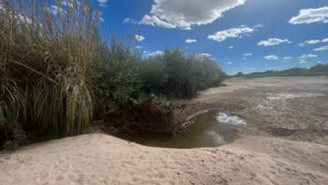 A water hole near a grassy area.