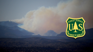 A forest service logo with a mountain in the background.