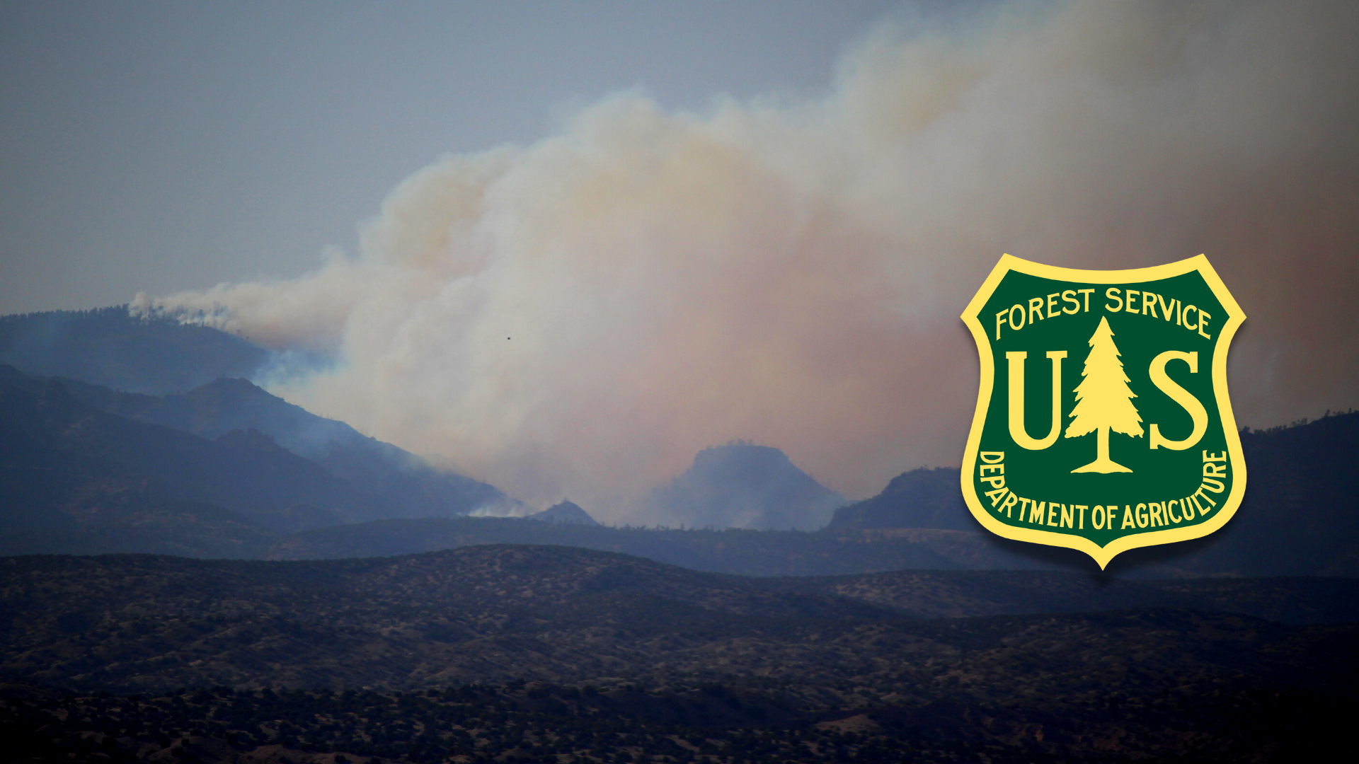 2022’s Historic Fire Season