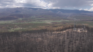 An aerial view of a burned area in colorado.