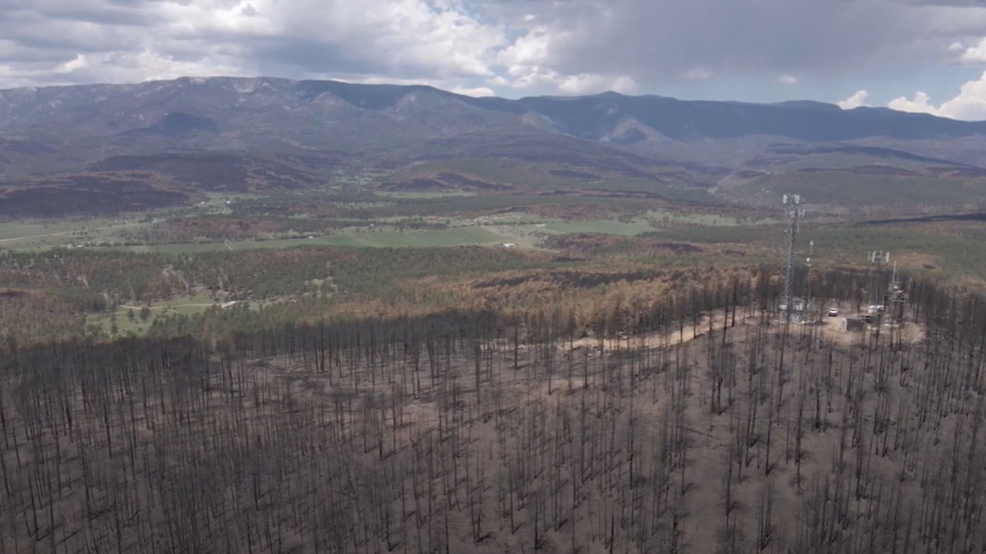 Building Public Trust in the Forest Service