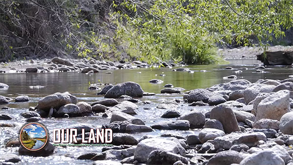 A river, flowing with crystal-clear water, is surrounded by a picturesque landscape of rocks and trees.