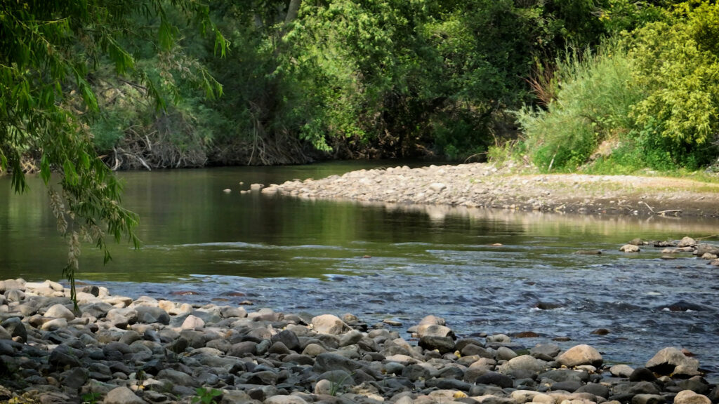 A river surrounded by trees and rocks.