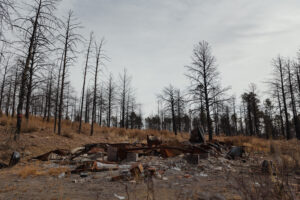 A burned out house in the middle of a field.