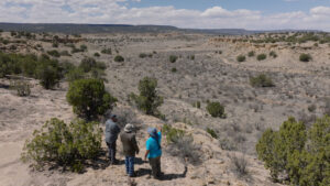 Three people stand on a rocky ledge overlooking a vast, arid landscape with sparse vegetation and distant mesas under a partly cloudy sky.