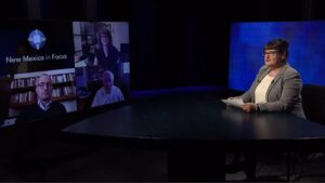 A woman in a gray blazer sits at a news desk with a large screen showing a video call with three participants; the screen displays "New Mexico in Focus.