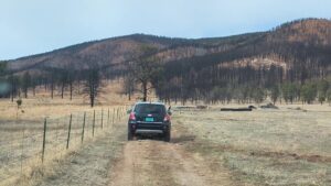 A car is driving down a dirt road through a grassy field, with a fence on the left and forested hills in the background, while a shimmering body of water lies just beyond the trees.