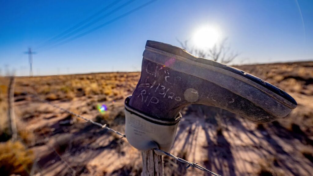 A worn rubber boot with markings is placed upside down on a wooden fence post in a dry, sunlit landscape with barbed wire and sparse vegetation.