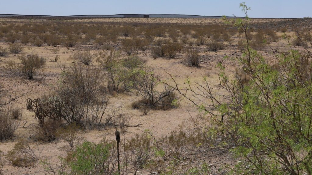 Dry desert landscape with sparse bushes and shrubs; a section of a border wall or fence is visible in the distance under a clear sky.